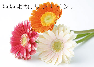 いいよね、ワンナイン